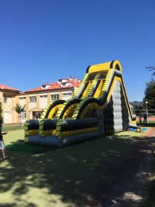 IMG_0905